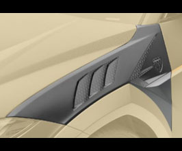 MANSORY Front Vented Fenders (Dry Carbon Fiber) for Lamborghini Urus