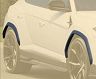 MANSORY Front and Rear Over-Fender Extensions (Dry Carbon Fiber) for Lamborghini Urus