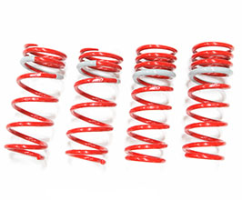 Tanabe Sustec DF210 Max Lowering Springs for Lexus GS350 / GS430 / GS460