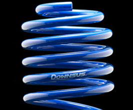 ESPELIR Super Downsus Type-2 Lowering Springs for Lexus GS350 RWD