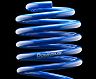 ESPELIR Super Downsus Type-2 Lowering Springs for Lexus GS350 RWD