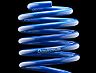 ESPELIR Super Downsus Type-2 Lowering Springs for Lexus GS350 RWD F Sport