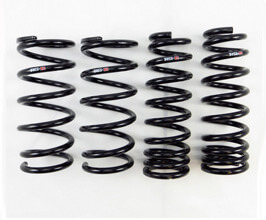 RS-R Superdown Sus Lowering Springs for Lexus GS 4