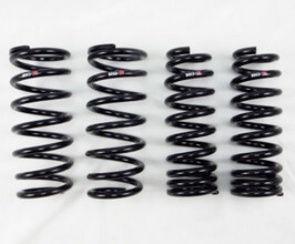 RS-R Down Sus Lowering Springs for Lexus GS L10