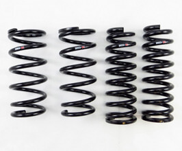 RS-R Down Sus Lowering Springs for Lexus GS L10