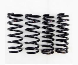 RS-R Down Sus Lowering Springs for Lexus GS L10