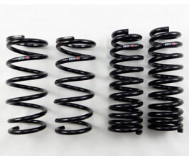 RS-R Down Sus Lowering Springs for Lexus GS L10