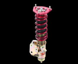 APEXi N1 Evolution Damper Coilovers - Custom-Made Spec for Lexus GS S160