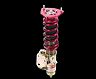 APEXi N1 Evolution Damper Coilovers - Custom-Made Spec