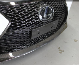 Lems Front Number Base - Japan Spec (Dry Carbon Fiber) for Lexus GSF 4