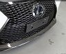 Lems Front Number Base - Japan Spec (Dry Carbon Fiber) for Lexus GSF