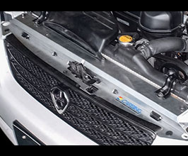 OYUKAMA Radiator Cooling Panel (Aluminum) for Lexus IS 1