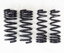 RS-R Down Sus Lowering Springs for Lexus IS500