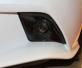 Lems Fog Light Covers (Dry Carbon Fiber) for Lexus IS350 / IS300 / IS250 F Sport