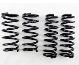 RS-R Down Sus Lowering Springs for Lexus IS 3