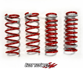 Tanabe Sustec NF210 Max Comfort Springs for Lexus IS 3