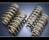 TEIN High Tech Gaurantee Spec Luxury Master Springs for Lexus IS350 F Sport RWD