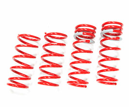 Tanabe Sustec NF210 Max Comfort Springs for Lexus IS-C 2