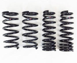 RS-R Down Sus Lowering Springs for Lexus IS XE30 Late