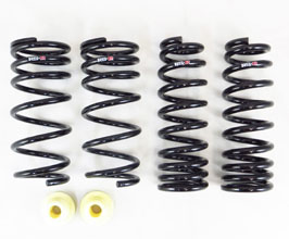 RS-R Super Down Sus Lowering Springs for Lexus IS XE30 Late