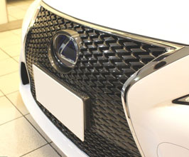 Lems Front Number Base - Japan Spec (Dry Carbon Fiber) for Lexus IS XE30
