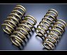 TEIN High Tech Gaurantee Spec Luxury Master Springs for Lexus ISF