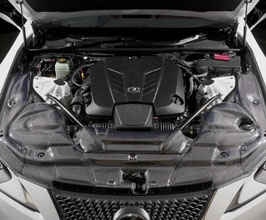BLITZ Carbon Intake System (Carbon Fiber) for Lexus LC 1