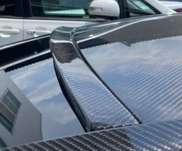 Carbon Addict Roof Spoiler (Dry Carbon Fiber) for Lexus LC 1