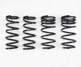 RS-R Ti2000 Down Sus Lowering Springs - USA Spec for Lexus LC500 / LC500h