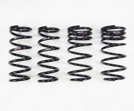 RS-R Ti2000 Super Down Sus Lowering Springs for Lexus LC 1