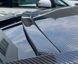 Carbon Addict Roof Spoiler (Dry Carbon Fiber) for Lexus LC Z100