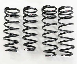 RS-R Superdown Sus Lowering Springs for Lexus LS 3