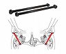 SPC Strengthened Lower Control Arms - Rear for Lexus LX570