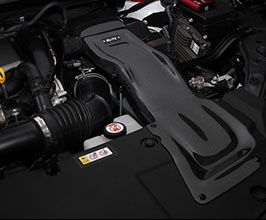 BLITZ Carbon Intake System (Carbon Fiber) for Lexus NX 1