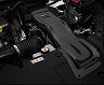 BLITZ Carbon Intake System (Carbon Fiber)