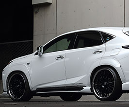 Artisan Spirits Sports Line Black Label Front and Rear 35mm Over Fenders (FRP) for Lexus NX 1