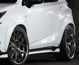 Artisan Spirits Sports Line Black Label Front and Rear 10mm Over Fenders (FRP) for Lexus NX 1