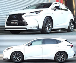 RS-R Best-i Active Coilovers for Lexus NX 1