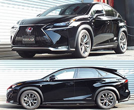 RS-R Best-i Coilovers for Lexus NX 1