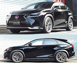 RS-R Best-i Active Coilovers for Lexus NX 1