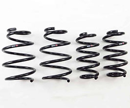 RS-R Down Sus Lowering Springs for Lexus NX300 AWD / NX300h FWD / NX200t