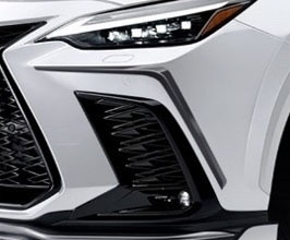 ROWEN Front Bumper Extension Garnish for Lexus NX 2