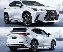 Modellista Aero Half Spoiler Kit for Lexus NX 2