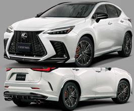 Body Kits for Lexus NX 2