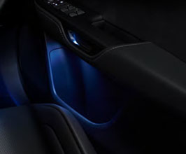 Lexus JDM Factory Option Door Pocket Illumination for Lexus NX 2
