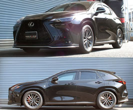 RS-R Best-i Coilovers for Lexus NX 2