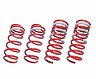 Tanabe Sustec DF210 Dress-Up Form Springs for Lexus NX350 AWD