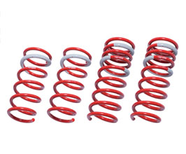 Tanabe Sustec NF210 Normal Feeling Springs for Lexus NX 2