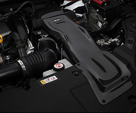 BLITZ Carbon Intake System (Carbon Fiber) for Lexus NX AZ10