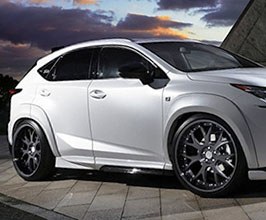 AIMGAIN Pure VIP EXE Front and Rear 20mm Over Fenders (FRP) for Lexus NX AZ10